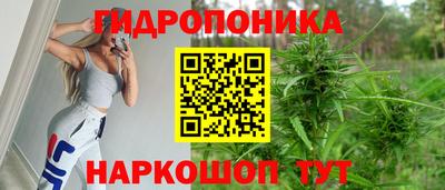 дмт Шахты