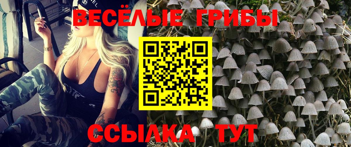 Псилоцибиновые грибы Cubensis  купить закладку  Междуреченск  Вход с VPN 